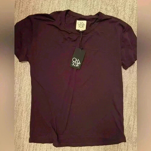 NWT CHASER SHORT SLEEVE TOP - Picture 1 of 2